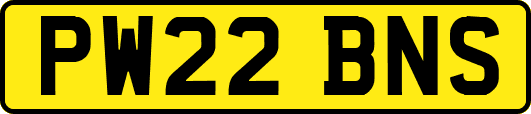 PW22BNS