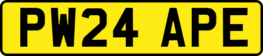 PW24APE