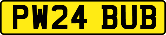 PW24BUB