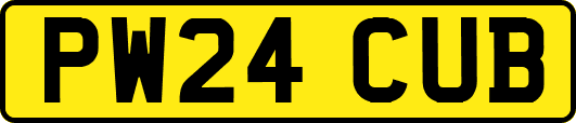 PW24CUB