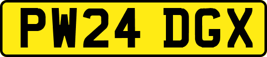PW24DGX