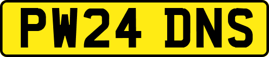PW24DNS