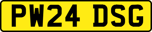 PW24DSG