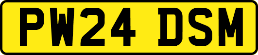 PW24DSM