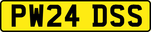 PW24DSS