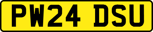 PW24DSU