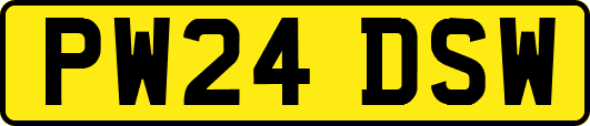 PW24DSW