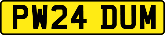 PW24DUM
