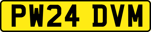PW24DVM