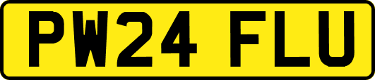 PW24FLU