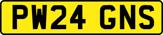 PW24GNS
