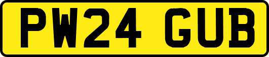 PW24GUB