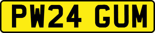 PW24GUM