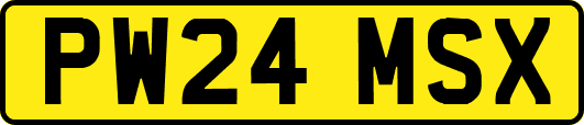 PW24MSX