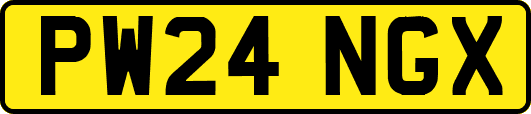 PW24NGX