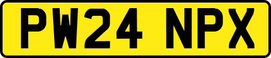 PW24NPX