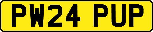PW24PUP