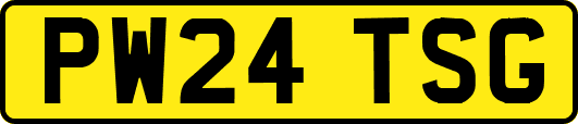 PW24TSG