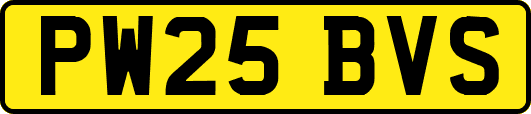 PW25BVS