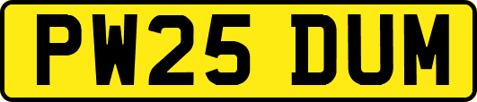 PW25DUM