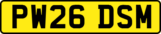 PW26DSM