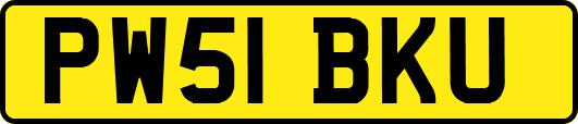 PW51BKU