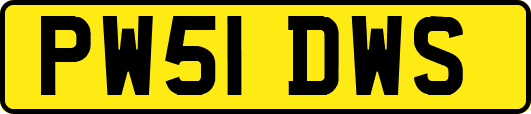 PW51DWS