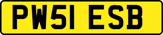 PW51ESB