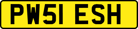PW51ESH