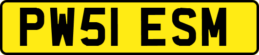 PW51ESM
