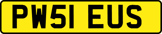 PW51EUS