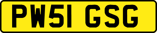 PW51GSG