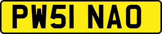 PW51NAO