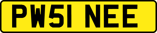 PW51NEE