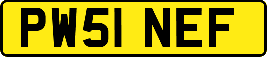 PW51NEF