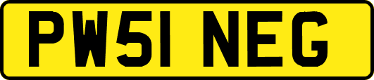 PW51NEG