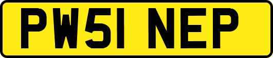 PW51NEP