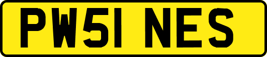 PW51NES