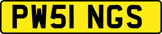 PW51NGS