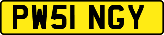PW51NGY
