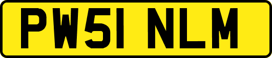 PW51NLM