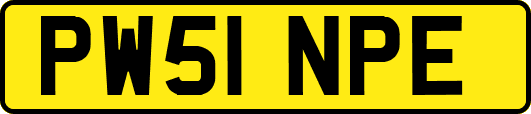 PW51NPE