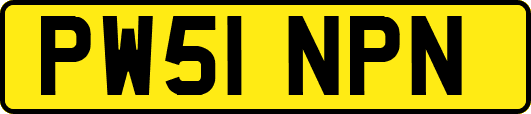 PW51NPN