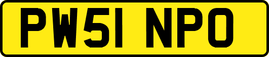 PW51NPO