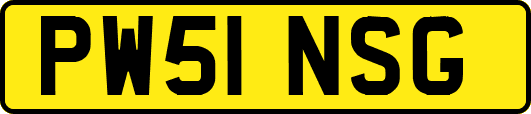 PW51NSG