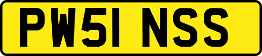 PW51NSS