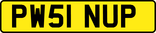 PW51NUP