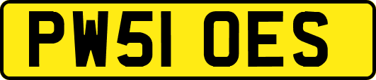 PW51OES
