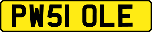 PW51OLE