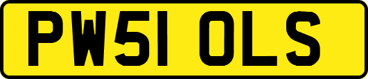 PW51OLS